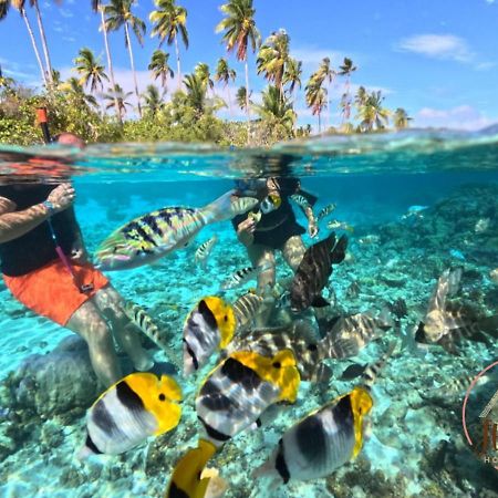 Hutiarii House & Car & Excursions Raiatea Villa Tevaitoa Eksteriør billede