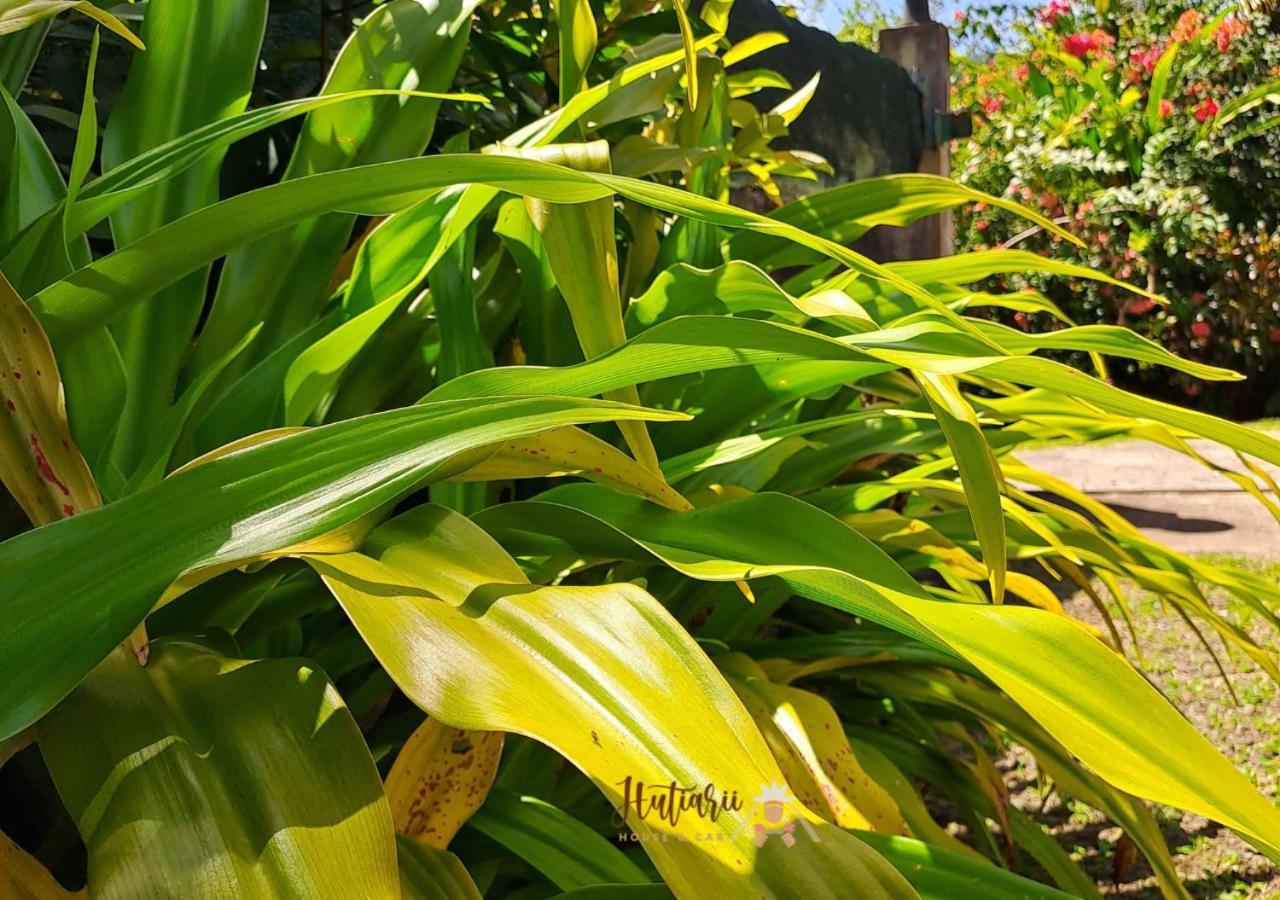 Hutiarii House & Car & Excursions Raiatea Villa Tevaitoa Eksteriør billede
