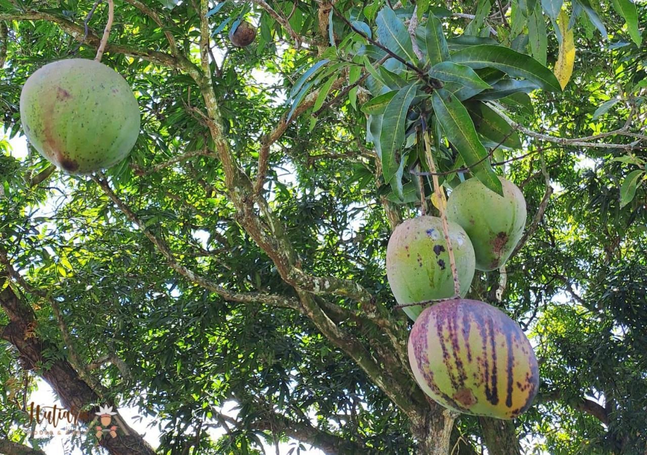 Hutiarii House & Car & Excursions Raiatea Villa Tevaitoa Eksteriør billede